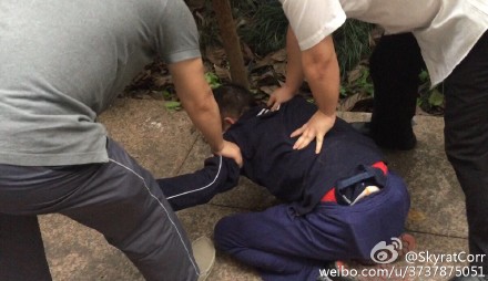 见义勇为,师生合力擒盗贼